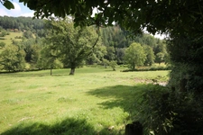 très rare au calme
