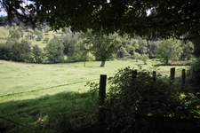 très rare au calme