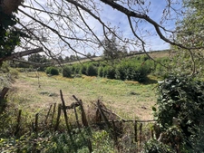 Maison à vendre 5 pièces Proche de CHARLIEU (71)