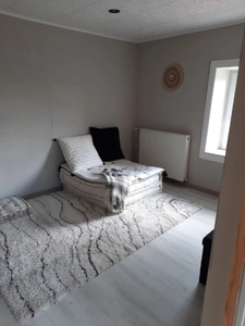 très rare