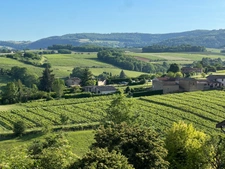 Maison à vendre 3 pièces Proche de VILLEFRANCHE SUR SAONE (69)