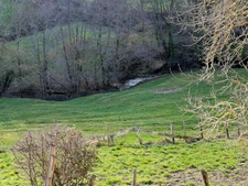 Maison avec vue panoramique SAINT NIZIER D'AZERGUES (69)
