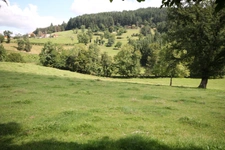 très rare au calme