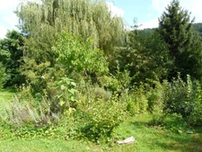 très rare au calme
