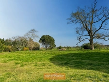 Authentique Landaise de caractère, 316 m² habitables sur 8000 M2. Cadre paisible
