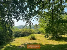 Maison rénovée pleine de charme et de caractère sur son parc boisé d'environ 3 hectares