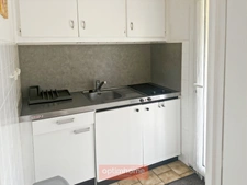2 PAVILLONS DE PLAIN-PIED COMPOSES DE 4 APPARTEMENTS T2, PARKING ET JARDIN AUTOUR.