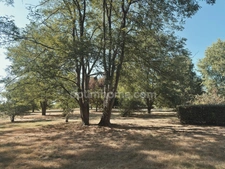 Maison de campagne sur 3750 M2 de terrain