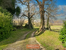 Maison de campagne avec son gite indépendant et dépendances sur 2,50 Ha.