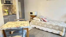 Appartement à vendre 1 pièces GREOUX LES BAINS (04)