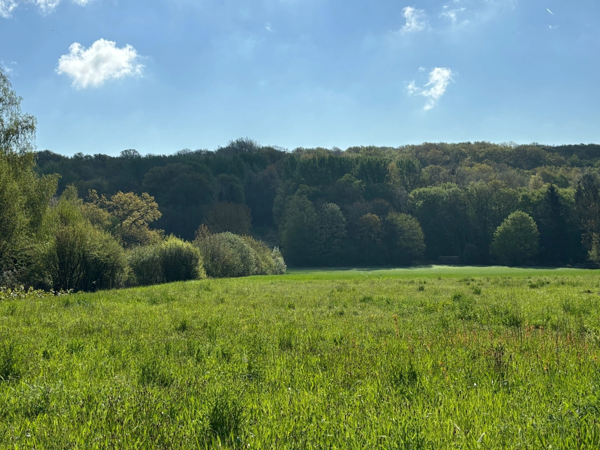 Terrain à vendre de 1 140,00 m² MONTREUIL AUX LIONS (02) · à La Ferte sous Jouarre · 77 000 €