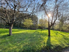 MAISON AVEC 5500 M² DE TERRAIN A LA FERTE GARE A PIED