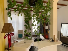 MAISON CENTRE DE BURIE TROIS CHAMBRES plus bureau avec entrée privative.