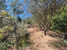 Maison à rénover. 5 pièces BAGNOLS EN FORET (83). 475000 €