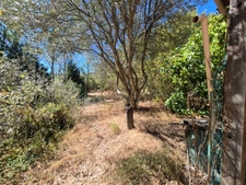 Maison à rénover. 5 pièces BAGNOLS EN FORET (83). 475000 €