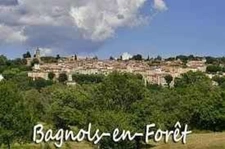 Maison à rénover. 5 pièces BAGNOLS EN FORET (83). 526 400 €