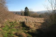 BEAU TERRAIN CONSTRUCTIBLE DE 30 ARES 