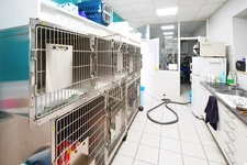 CLINIQUE VÉTÉRINAIRE DE 300 M² SUR TERRAIN DE 1 194 M² – LONGWY