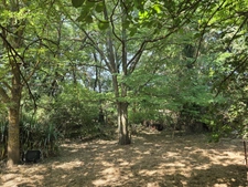 AIX Sud - Cabriès - Vente Grande Villa T4 de 200 M2 plein sud, à rénover, sur 1900M2 de terrain, emplacement de premier choix au calme et sans vis à vis