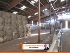 Propriete agricole de 50 hect + 30 HECT à louer ou acheter 
