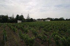 Propriete à vendre 2 habitations 800 m2 de bâtis PUISSEGUIN (33)