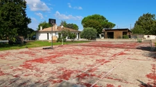 Espace et convivialité sur Vayres