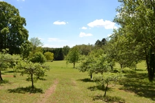 BEAUCOUP DE CHARME  et de BEAUX VOLUMES dans un ENVIRONNEMENT EXCEPTIONNEL