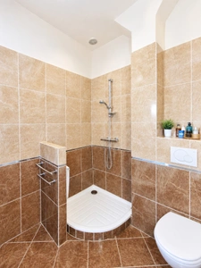 Brive centre ville - Appartement 2/3 chambres