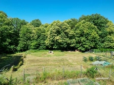 PROPRIETE RURALE AVEC DEPENDANCES ET SERRES