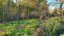 Terrain 1800 m2 COSNAC 