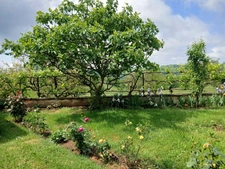 ENSEMBLE DE 2 MAISONS CHENAILLER MASHEIX