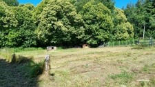 PROPRIETE RURALE AVEC DEPENDANCES ET SERRES