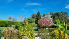 Maison PLAIN PIED avec PISCINE et grand terrain de 5000 m2
