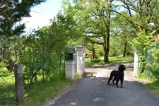 BEAUCOUP DE CHARME  et de BEAUX VOLUMES dans un ENVIRONNEMENT EXCEPTIONNEL