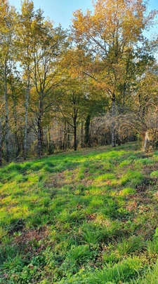 Terrain 1800 m2 COSNAC 