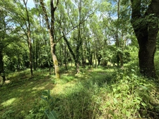 Propriété en Pierre - Dépendances – 1 Hectare – 32700 Castéra-Lectourois, Gers