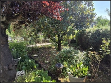 À vendre – Maison de plain-pied avec 4 chambres, jardin et dépendance – CONDOM (32100)