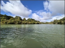SITE D EXCEPTION, 6 HABITATIONS, UN LAC, DES BOIS, DES PRAIRIES à LA ROMIEU (32)