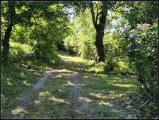 Maison à vendre 8 pièces L'ISLE BOUZON (32)