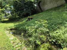 Propriété en Pierre - Dépendances – 1 Hectare – 32700 Castéra-Lectourois, Gers