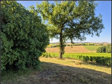Maison avec Dépendances et Vue Panoramique – À 10 min d'Agen