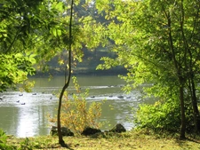 SITE D EXCEPTION, 6 HABITATIONS, UN LAC, DES BOIS, DES PRAIRIES à LA ROMIEU (32)