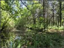 EXCLUSIVITÉ – Propriété de charme à vendre à 2 km de Fourcès (32250) – Site naturel exceptionnel avec bois privé, étang, source et dépendances