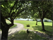 SITE D EXCEPTION, 6 HABITATIONS, UN LAC, DES BOIS, DES PRAIRIES à LA ROMIEU (32)