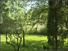 Propriété d’architecte contemporaine – Prestations haut de gamme – Cadre naturel exceptionnel – La Romieu (32480)