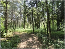 EXCLUSIVITÉ – Propriété de charme à vendre à 2 km de Fourcès (32250) – Site naturel exceptionnel avec bois privé, étang, source et dépendances