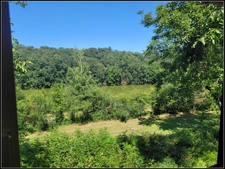SITE D EXCEPTION, 6 HABITATIONS, UN LAC, DES BOIS, DES PRAIRIES à LA ROMIEU (32)