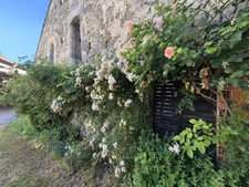 Maison à vendre 6 pièces LASSERRE (47)