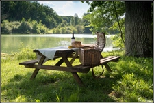 SITE D EXCEPTION, 6 HABITATIONS, UN LAC, DES BOIS, DES PRAIRIES à LA ROMIEU (32)