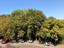 Appartement à vendre 3 pièces  (76)